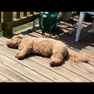 Meet your Posher, Kelly